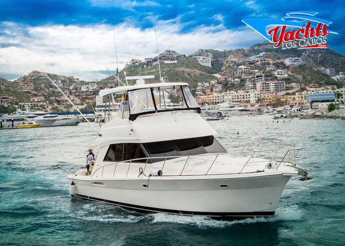47' Riviera Luxury Fishing Yacht los cabos, cabo san lucas