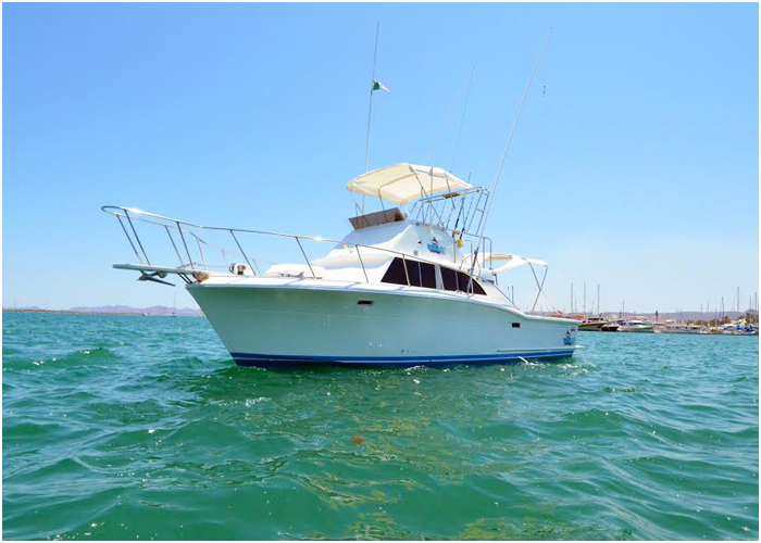 35' Concord Marlin Nailer Fishing Boat in La Paz